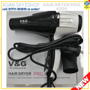 v&g Professional_Hair_Dryer_Model_no4200/4300